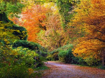 Rusanov Botanical Garden